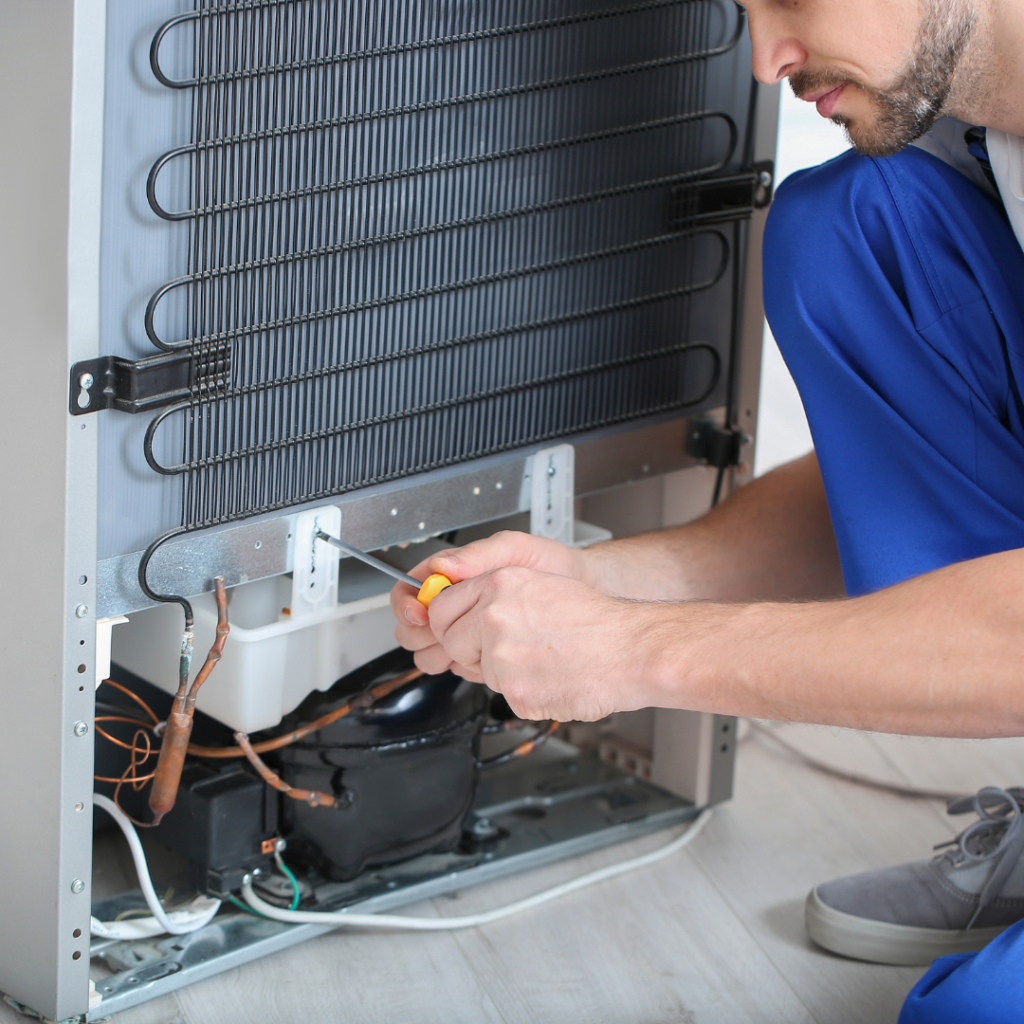 Fridge Repair